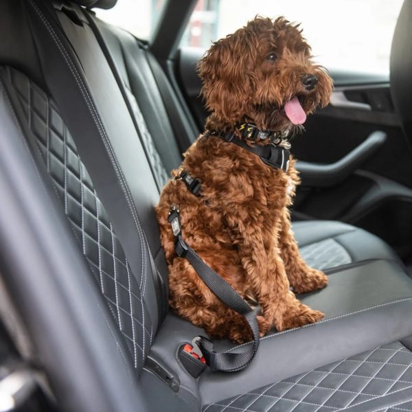 GF Pet  Pet Seat Belt Tether  Black Online Sale