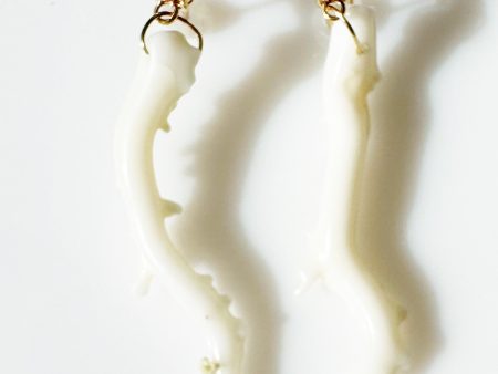 White Lophelian Coral and Ruby Earrings Discount