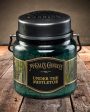 UNDER THE MISTLETOE Double Wick Classic 16oz Hot on Sale