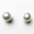 White South Sea Pearl Earrings Supply