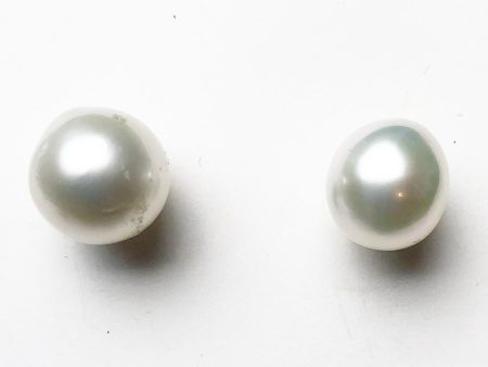 White South Sea Pearl Earrings Supply