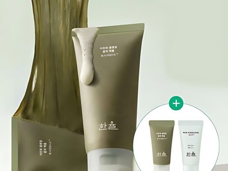 HANYUL Limited Edition Young Artemisia Cleansing Absorbent Pack Foam 120ml+15ml+Sun Cream 150ml Online now